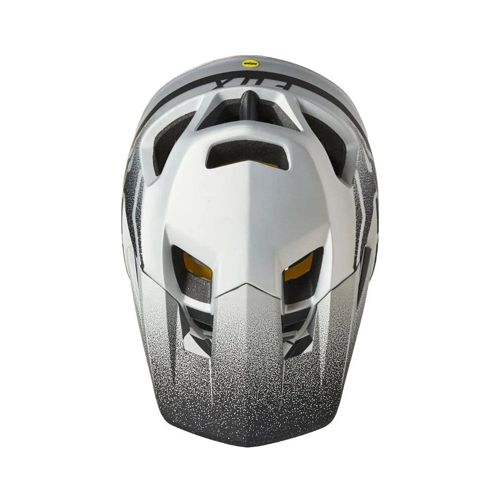 Fox Proframe Vapor Full face Helmet (Silver / Black) Fox