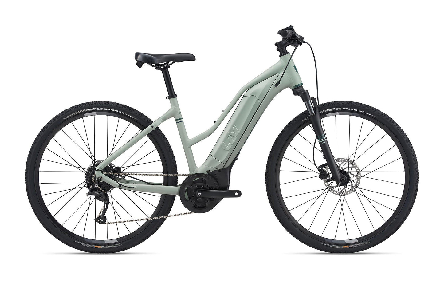 Liv Rove E+ 25km/h (Laurel) Womens Adventure Bike Liv