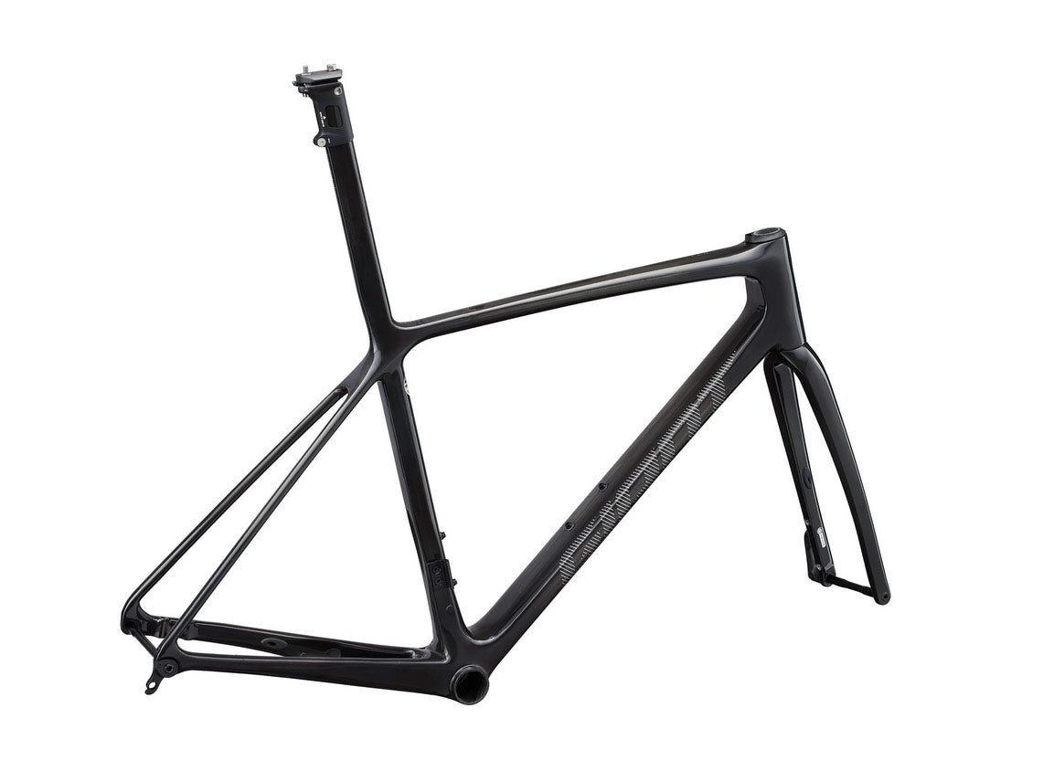 Giant TCR Advanced SL Disc-FF A (Raw Carbon) Road Bike Frame – The Bicycle Company