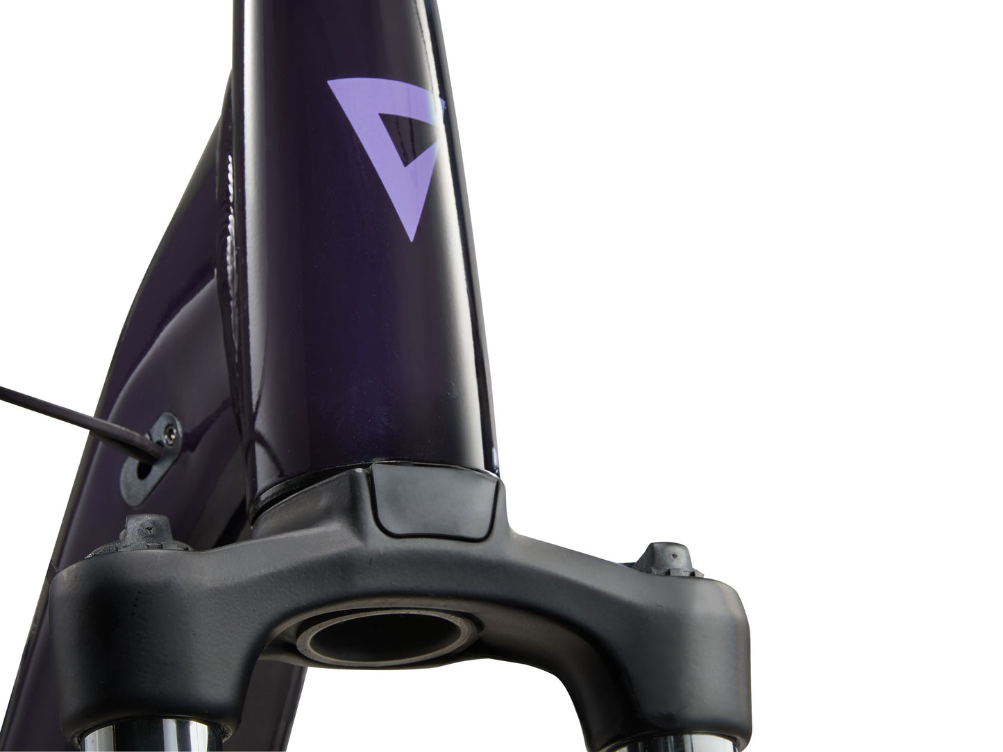 Giant Expression E+ 25km/h - Black Currant Giant