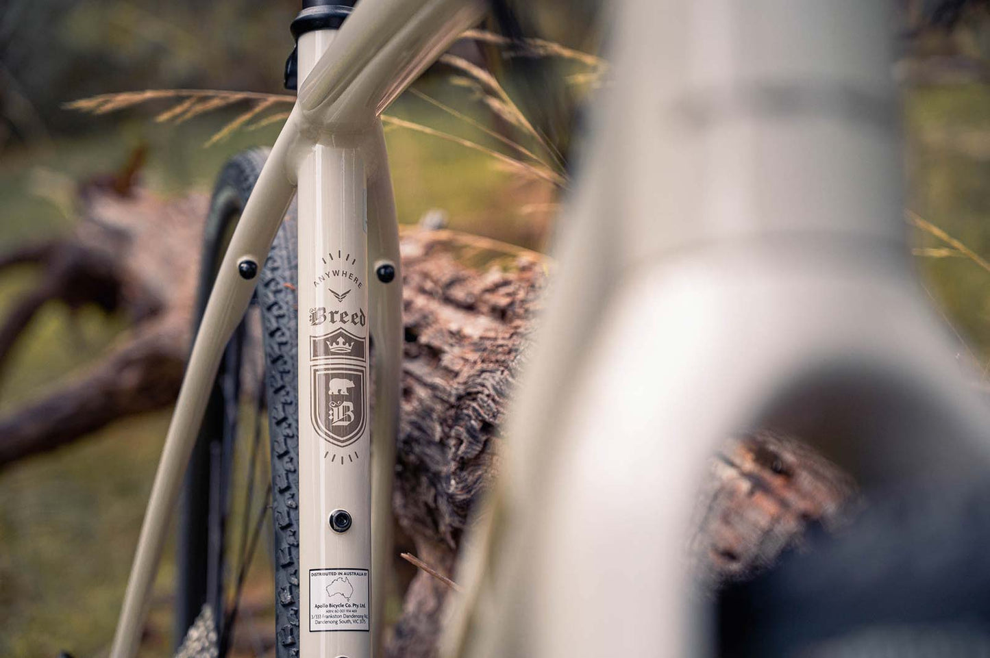 Felt BREED | 30 Gravel Bike (Putty) Felt