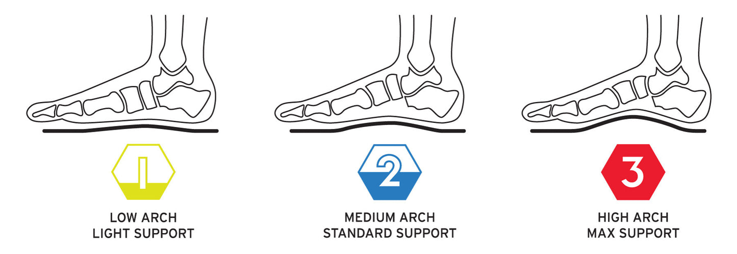 FLR Elite Insole (2) Medium FLR