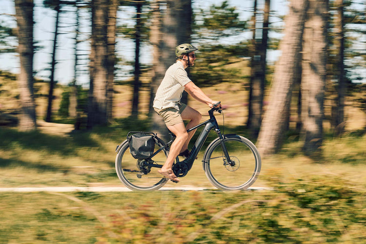 Trekking E-Bikes