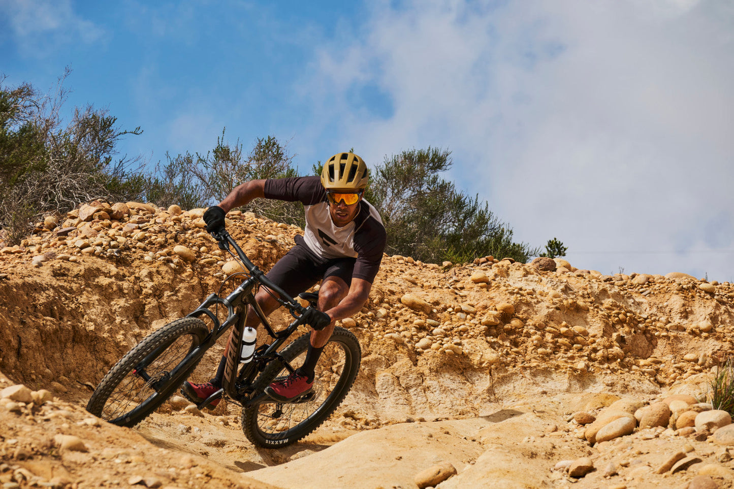 Giant Stance (Panther) Trail MTB Giant