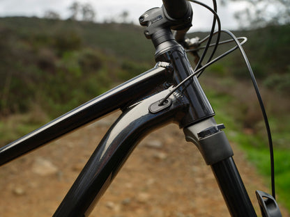 Giant Stance (Panther) Trail MTB Giant