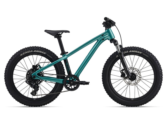 Giant STP 20 FS (Teal) Youth Bike Giant