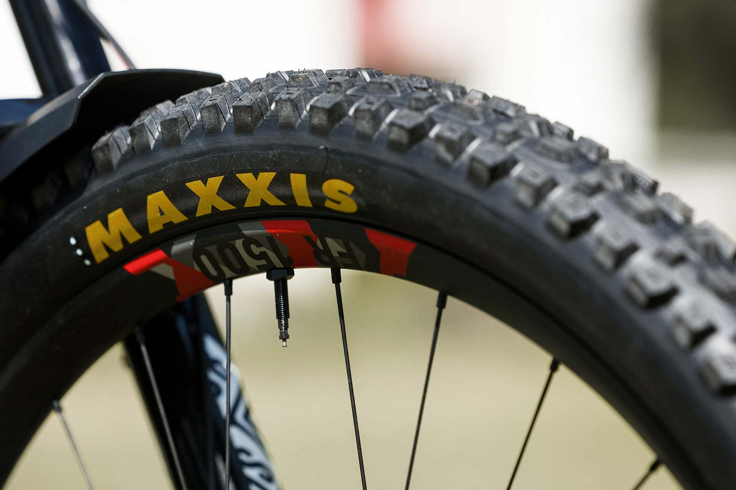 DT Swiss FR 1500 29" Boost Wheelset The Bicycle Company