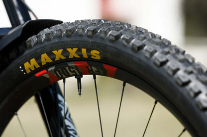 DT Swiss FR 1500 29" Boost Wheelset The Bicycle Company