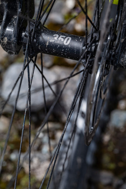 DT Swiss XM 1700 27.5" 30wd Trail Wheelset The Bicycle Company