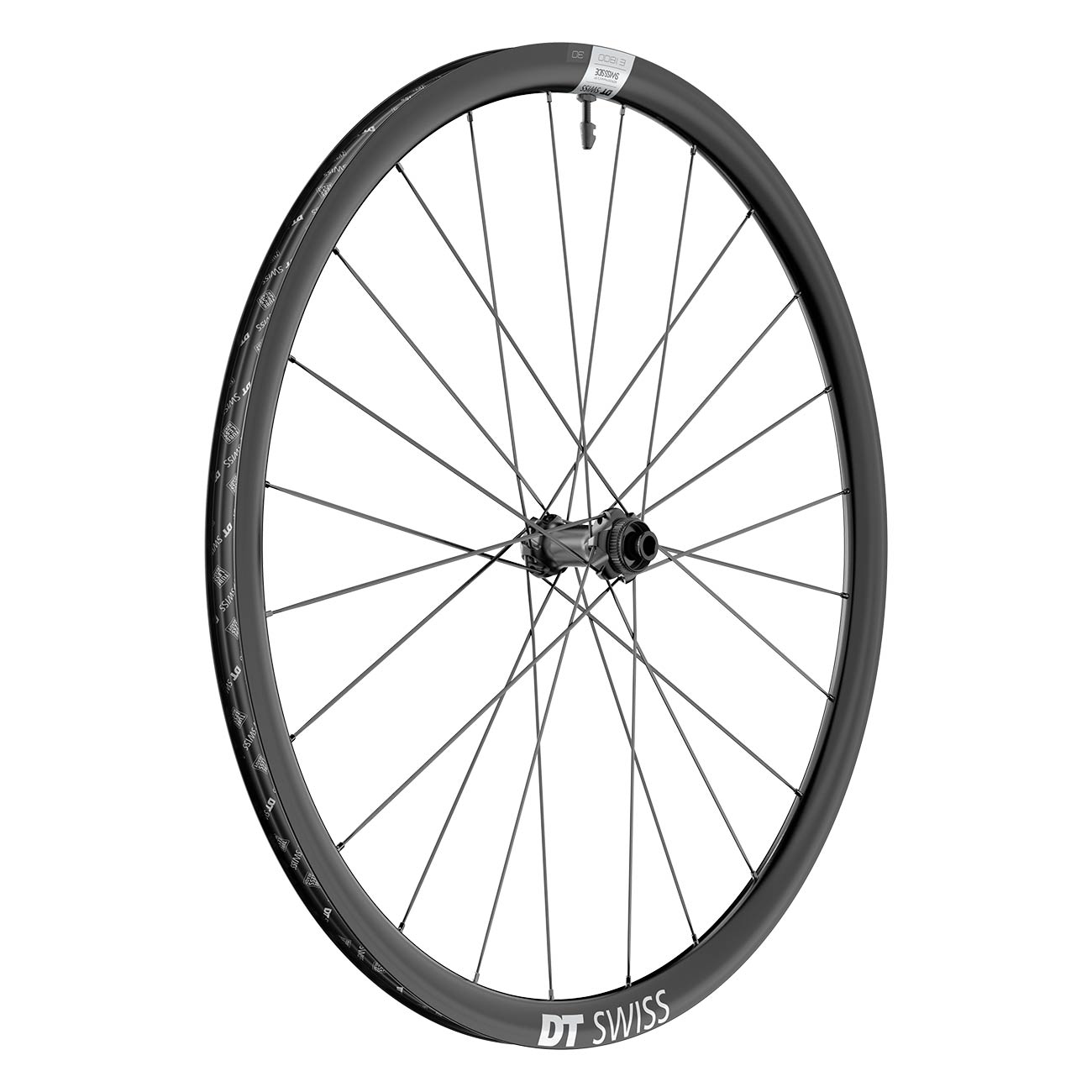 DT Swiss E 1800 Spline 30 DB 12 x 100 Endurance Rear Wheel