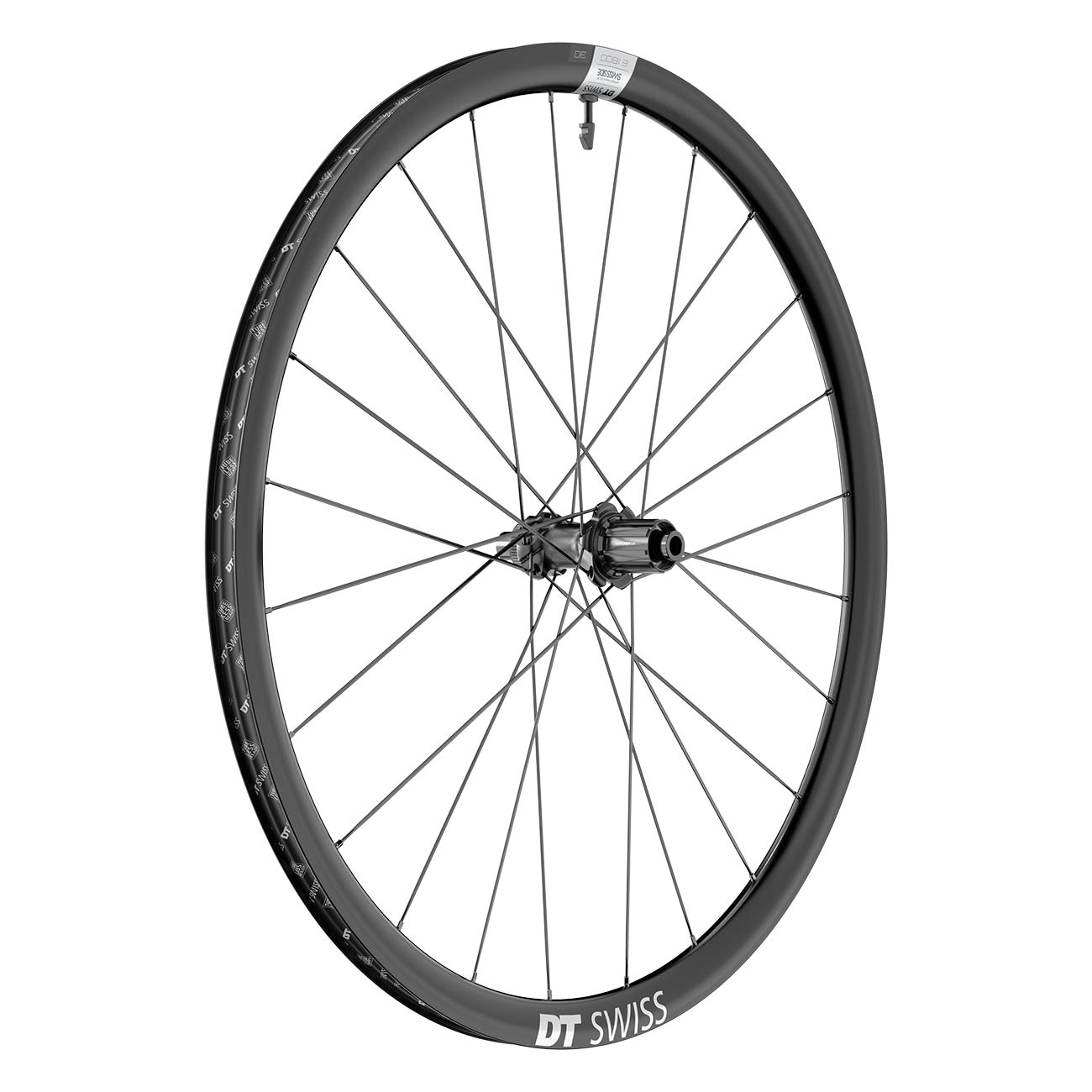 DT Swiss E 1800 Spline 30 DB 12 x 142 Endurance Rear Wheel