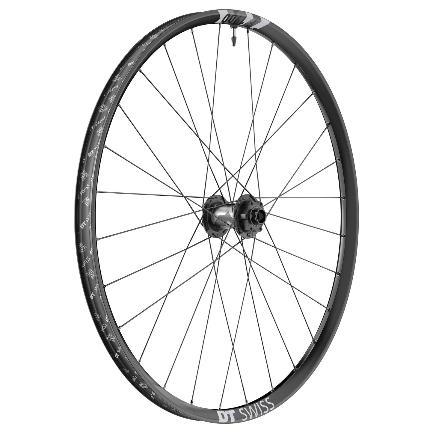 DT Swiss F 1900 Classic 30 29" 20 x 110 6-Bolt Freeride Front Wheel