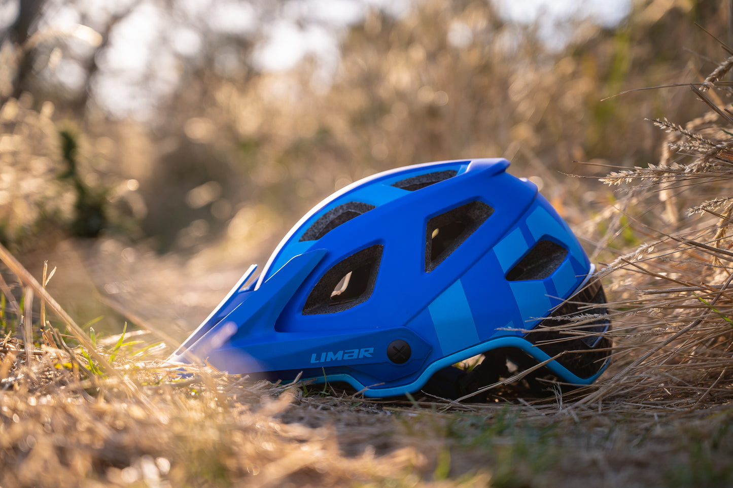 Limar Delta - MTB / Enduro Helmet (Electric Blue)