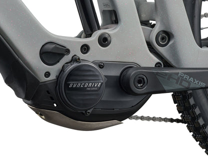 Giant Reign E+ 2 25km/h (Moon Dust) E-MTB Giant