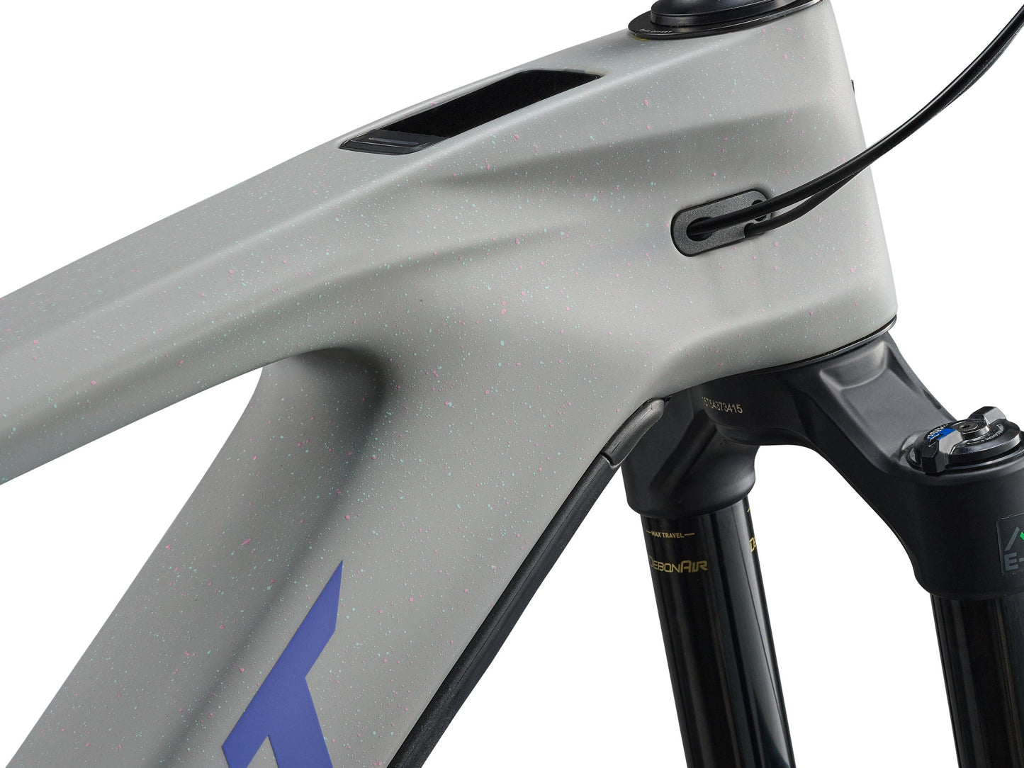 Giant Reign E+ 2 25km/h (Moon Dust) E-MTB Giant