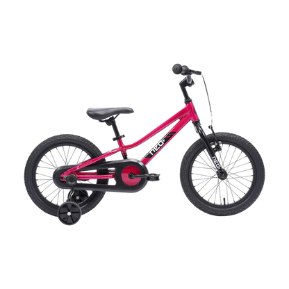 Neo+ 16 Neo Bicycles