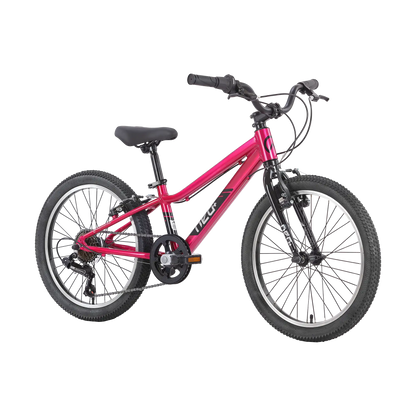 Neo+ 20 6s Neo Bicycles