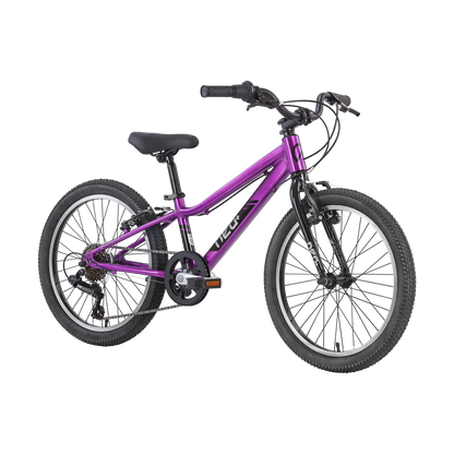 Neo+ 20 6s Neo Bicycles