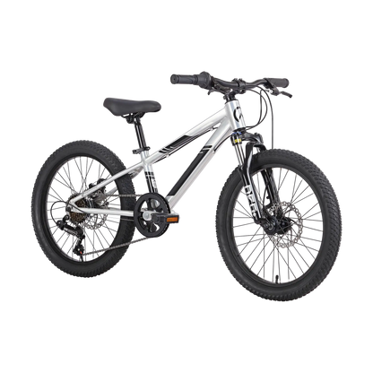 Neo Disc+ 20 6s Neo Bicycles