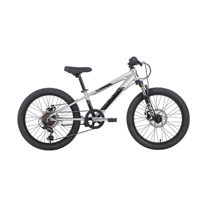 Neo Disc+ 20 6s Neo Bicycles