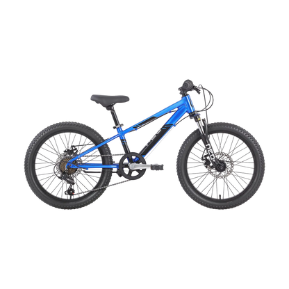 Neo Disc+ 20 6s Neo Bicycles