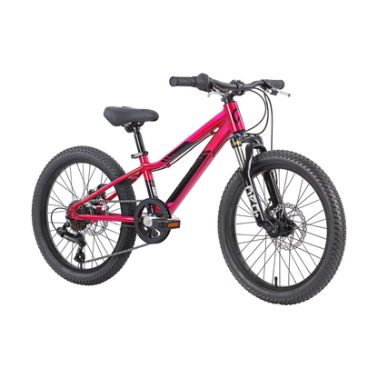 Neo Disc+ 20 6s Neo Bicycles