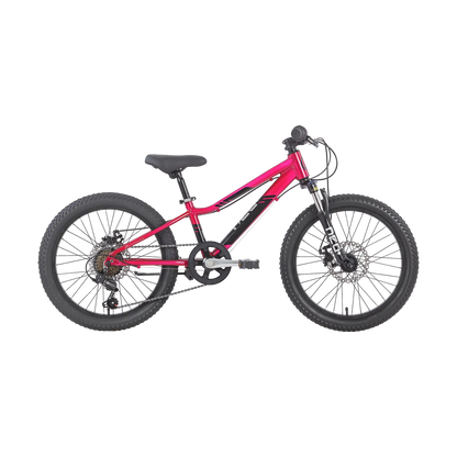 Neo Disc+ 20 6s Neo Bicycles